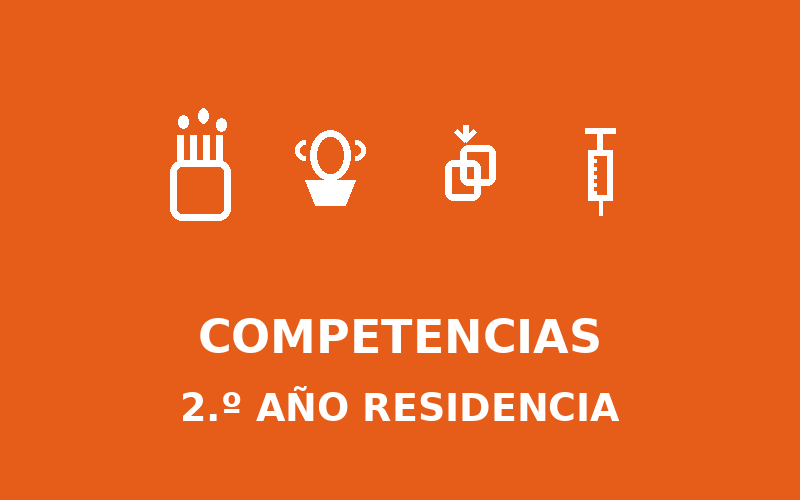 Segundo año residencia