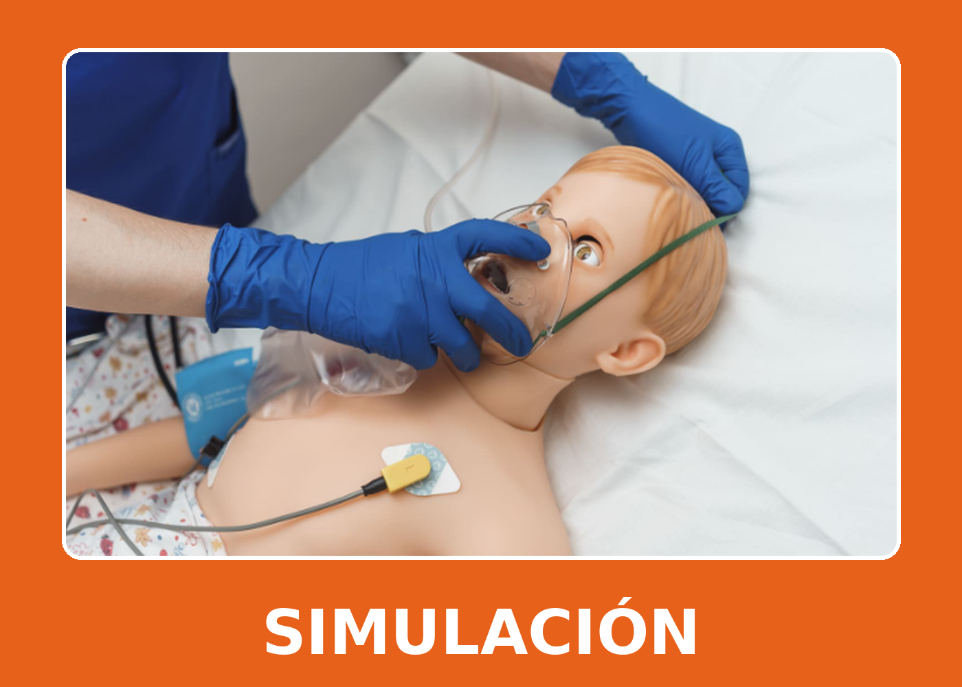 Simulación